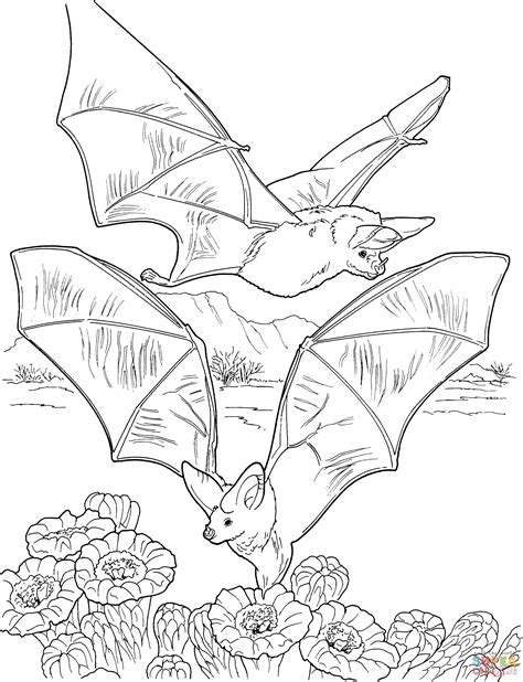 Bats Coloring Page