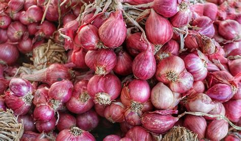 Bawang Merah untuk nyeri sendi
