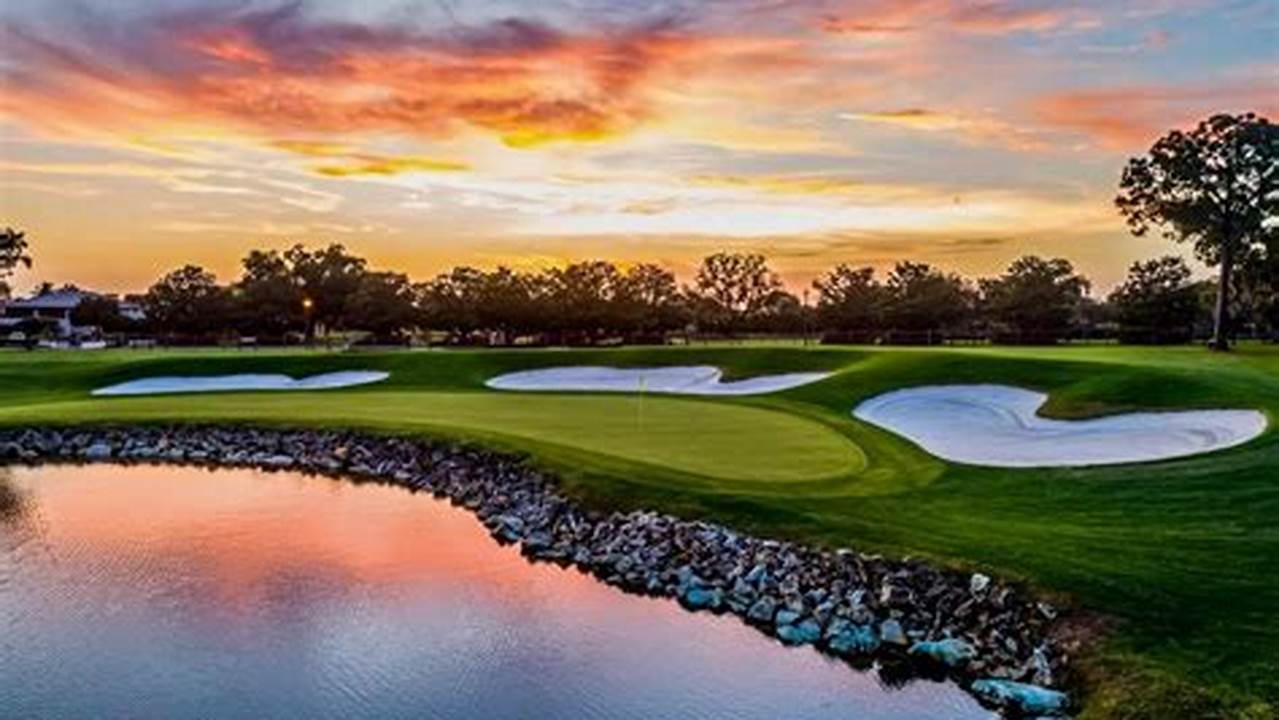 Bay Hill Golf Tournament 2024 Payout