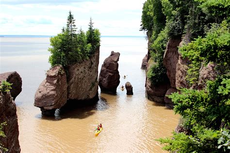 Private Bay of Fundy and City Highlights Tour Up to 7: A Review