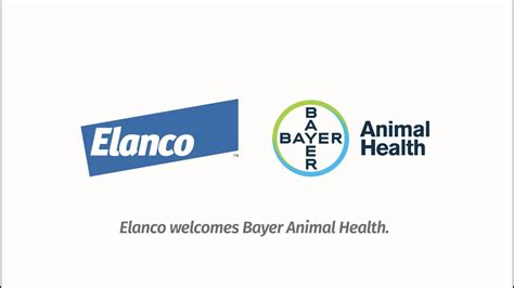 Bayer Animal Health: Quality Products and Innovative Solutions for Your Pet's Care