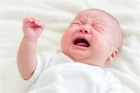 Bayi & Lemon: Aman atau Berbahaya?