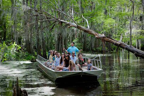 Bayou Swamp Tour