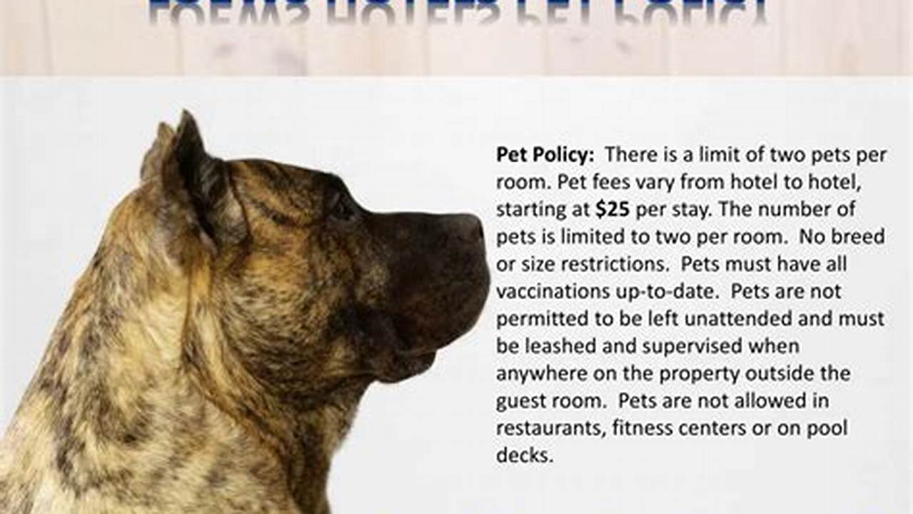 Be Sure To Read The Hotel's Pet Policies Before Booking Your Stay, As Some Hotels Have Restrictions On The Size Of Pets That Are Allowed., Pet Friendly Hotel