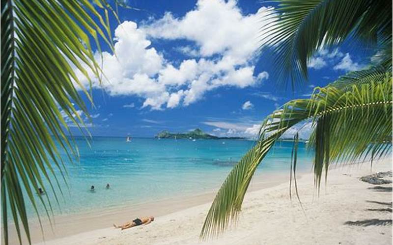Beach In St Lucia