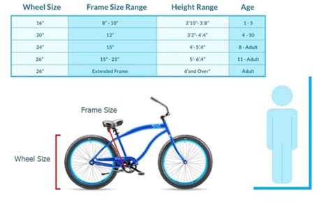 Beach Cruiser Sizing Chart