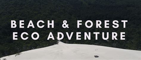 Beach Forest Eco Adventure: An In-Depth Review
