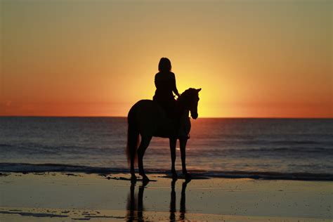 Beach Horseback Ride at Sunset: A Detailed Review