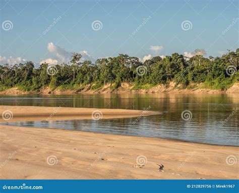 Beach Pictures Amazon