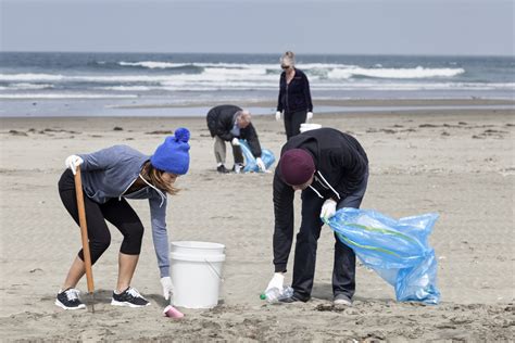 Beach Volunteer Work