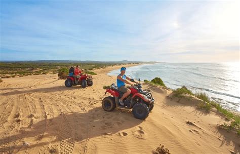 Beachfront Quad Bike Cruising