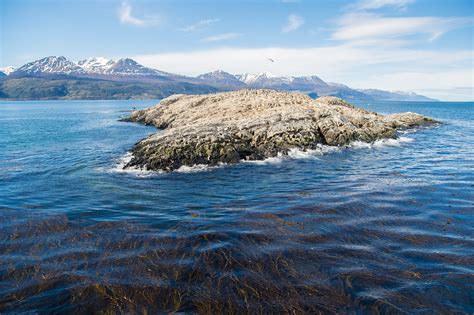 Beagle Channel Landscape