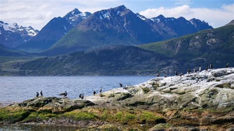 Beagle Channel cruise