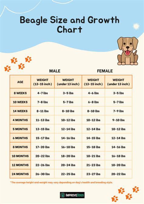 Beagle Puppy Weight Growth Chart