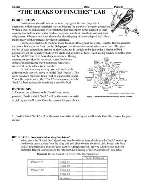 Beaks Of Finches Lab Answer Key Step-By-Step Explanation