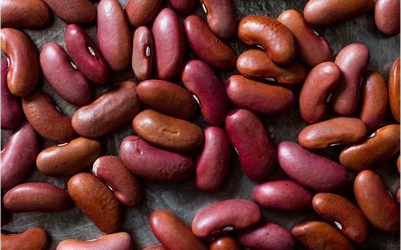 can you grow beans in aquaponics