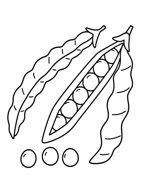 Beans Outline Picture for Colouring