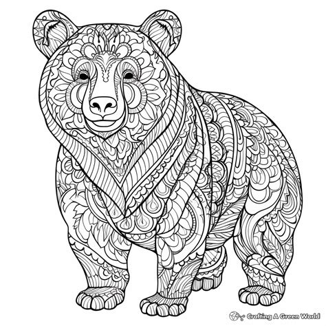Bear Coloring Pages For Adult
