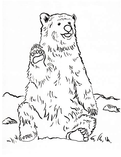 Bear Coloring Pages For Kids