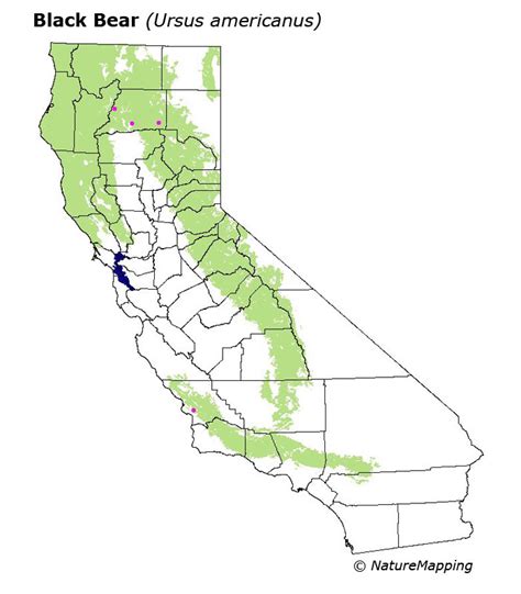 3 Is Not Enough Towards Restoring Grizzly Bears