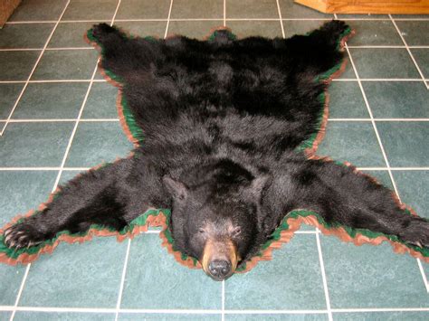 Luxurious and Authentic: The Ultimate Guide to Owning a Genuine Bear Skin Rug