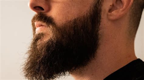 Beard Clean Up Near Me