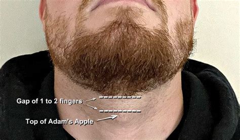 Beard Grooming Neck