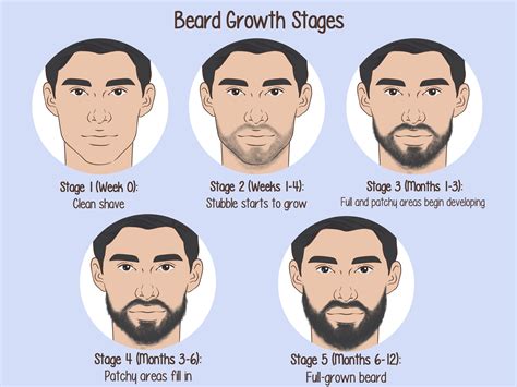 Beard Growth Pictures By Day