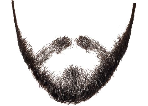 Beard Hair Png