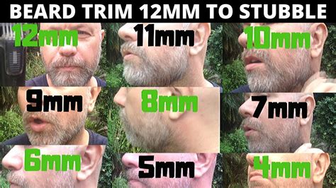 Beard Lengths By Mm