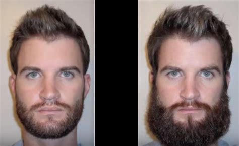 Beard Progression Pics