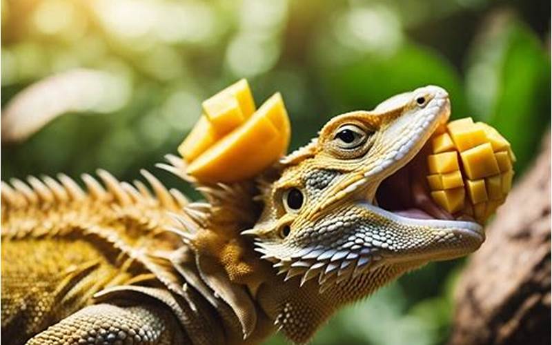 Can Bearded Dragons Eat Mangos?