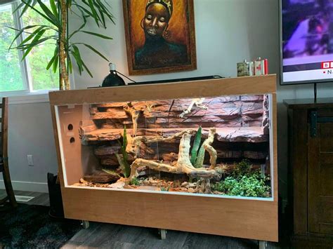 Bearded Dragon Enclosure Decor