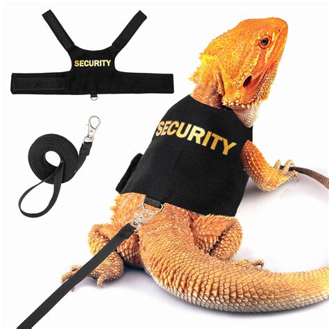 Bearded Dragon Harness