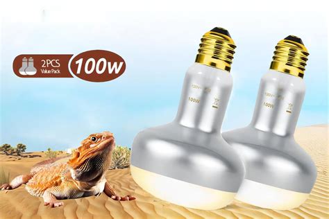 Bearded Dragon Heat Lamp