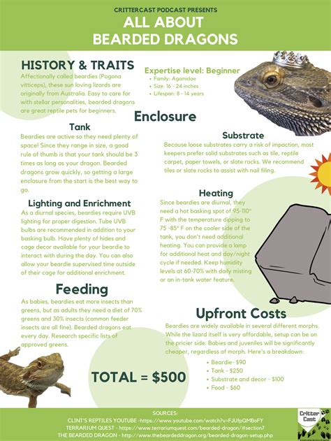 Bearded Dragon Information