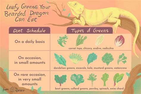 Bearded Dragon Menu