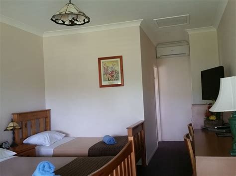 Bearded Dragon Motel