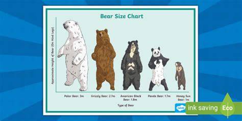 Bears By Size Chart