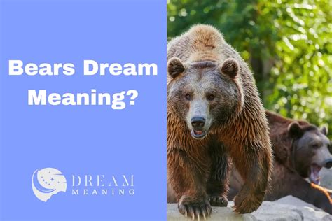 The Mystical Significance of Bears in Dreams: A Fascinating Insight into Your Deepest Emotions