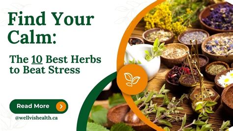 Beat Stress: Find Calm & Take Control