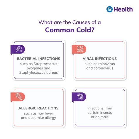 Beat the Common Cold: Causes & Prevention