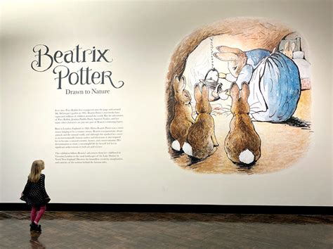 Beatrix Potter Gallery