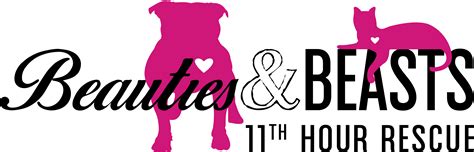 Unleashing the Wild: Discover the Wondrous World of Beauties and Beasts