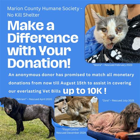 Beautiful Animal Humane Society No Kill
