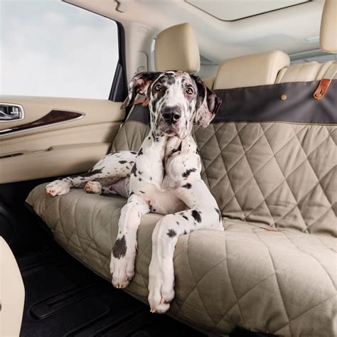 Beautiful Dog Car Seats Covers