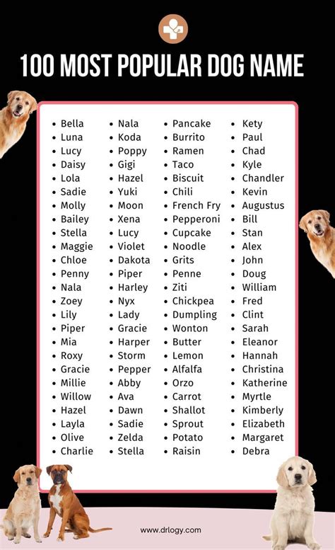 Beautiful Dog Names