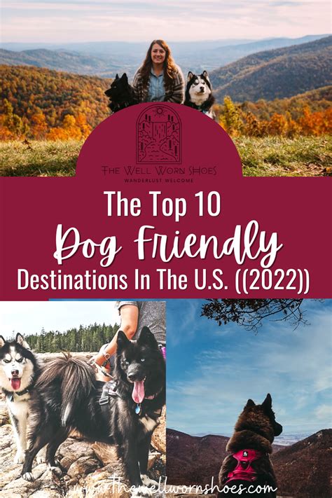 Beautiful Dogs Road Trips