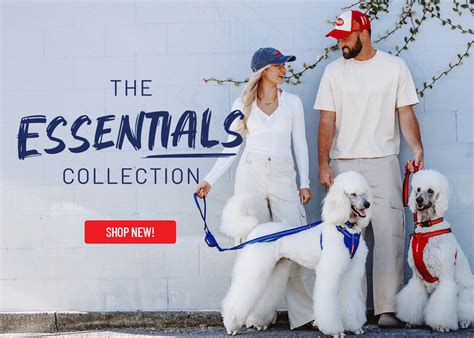 Beautiful Essentials For Dogs