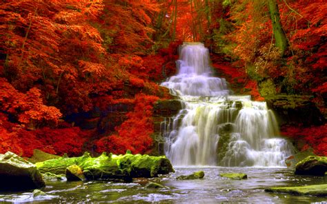 Capture the Essence of Autumn with Beautiful Fall Pictures